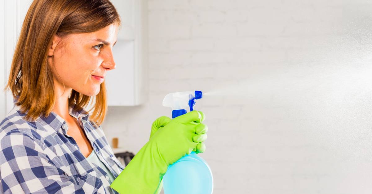 8 Cara Membasmi Rayap Secara Alami dan Efektif di Rumah