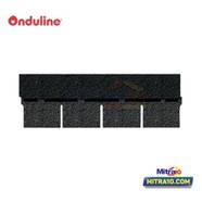 Bardoline Atap Flat Rectangular 100x34 Cm Hitam