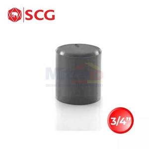 Scg Tutup Pipa Tanda Drat Aw Grey 20 3/4 Inch