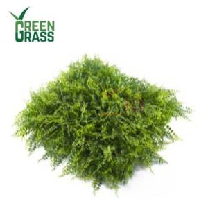 Green Grass Tanaman Hias Artifisial Dinding Ukuran 50x50 (4 Pcs) MZ188009A