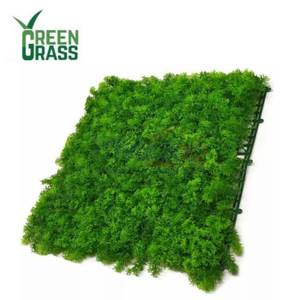 Green Grass Tanaman Hias (4 Pcs) MZ188054A