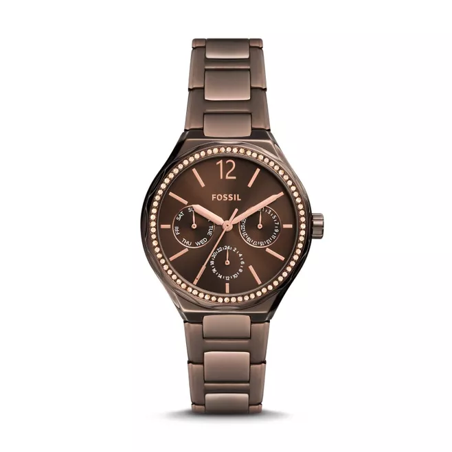 Eevie Multifunction Brown Stainless Steel Watch